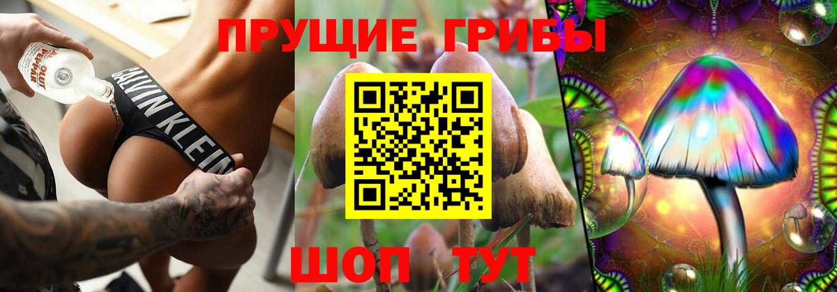 Галлюциногенные грибы GOLDEN TEACHER  Вход с VPN  Балашиха 